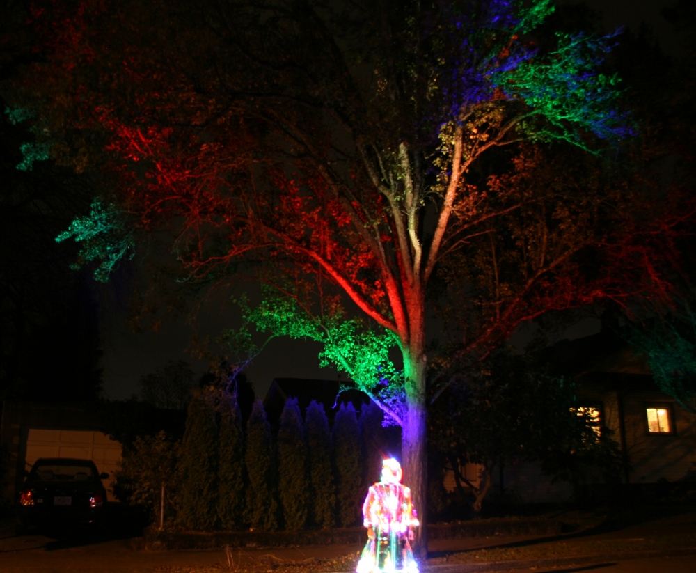 Lighted Raincoat And Jewelry And Trees